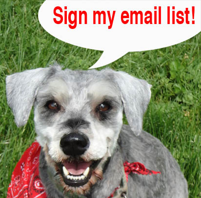 Link to sign up for Carol's newsletter